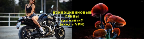 кокс Няндома
