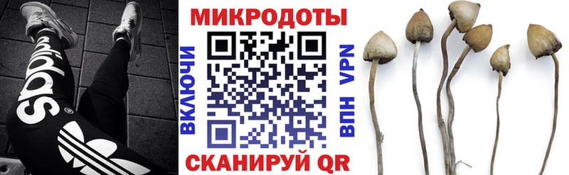 Галлюциногенные грибы ЛСД  закладка  Куса 